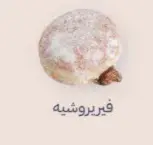 دونات فيريروشية 